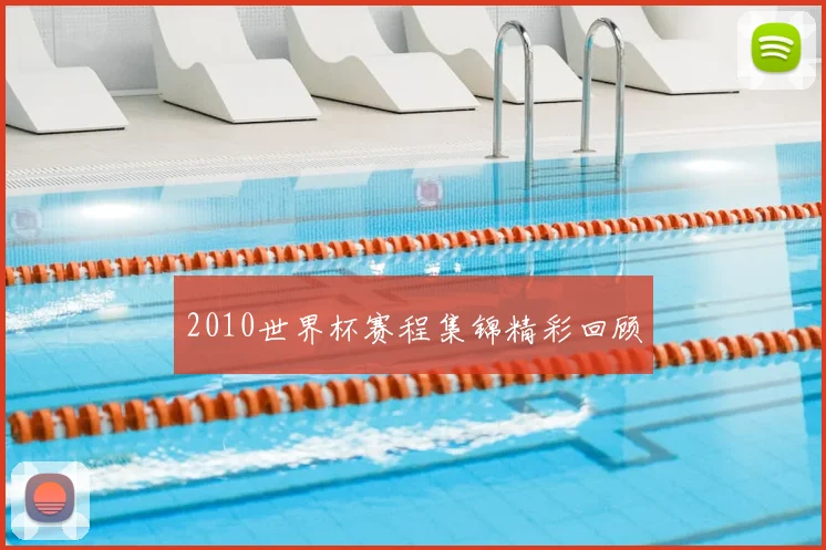 2010世界杯赛程集锦精彩回顾